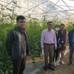 Trung tâm Nông nghiệp bền vững, Trường Đại học Tây Bắc hỗ trợ xây dựng mô hình trồng cà chua trong nhà màng tại Trung tâm hỗ trợ nông dân tỉnh Sơn La