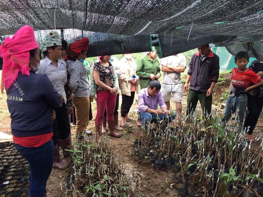 Tổ chức tập huấn kỹ thuật chăm sóc vườn ươm lần 2 cho người dân vùng Dự án “các loài cây bản địa của Việt Nam để cải thiện sinh kế” tại Khu bảo tồn thiên nhiên Mường La.