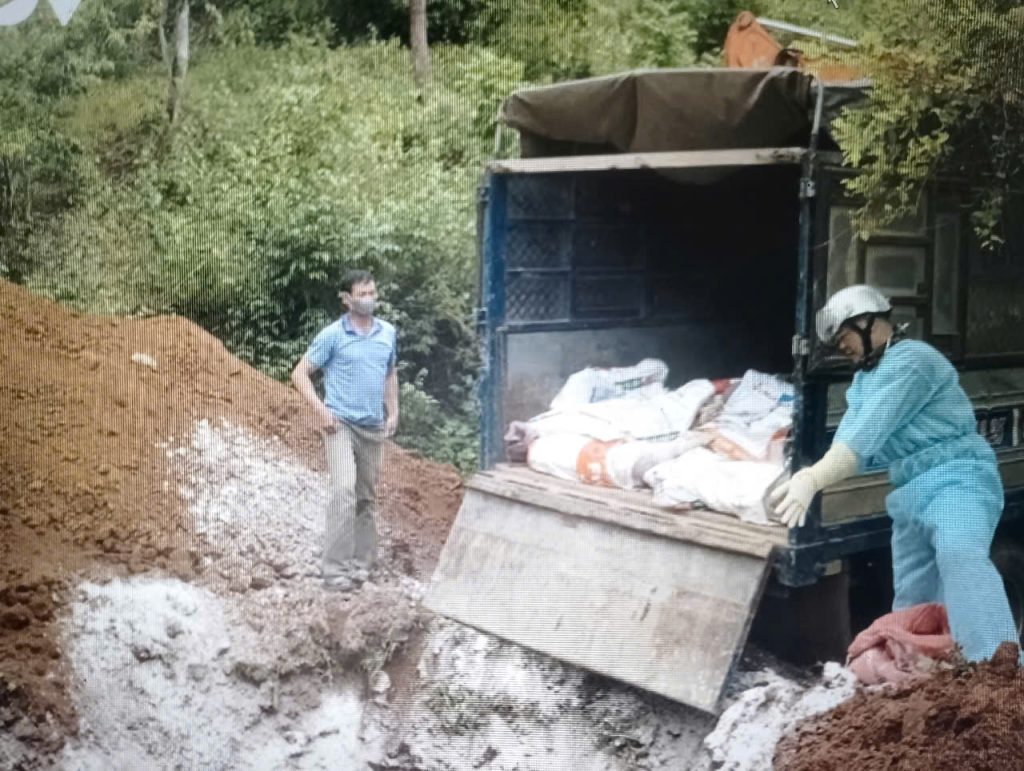 Thông tin bệnh dịch tả lợn châu phi trên đàn lợn thuộc thành phố Sơn la